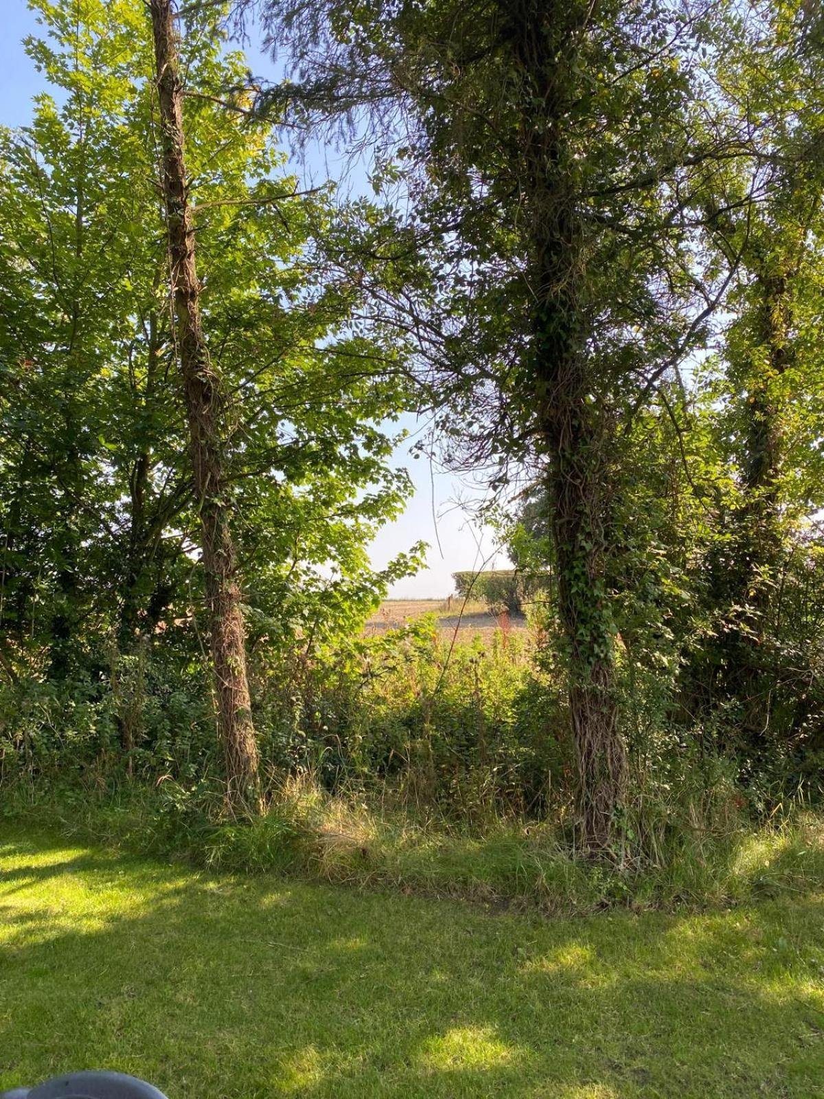 Séjour à la ferme Countryside Pods Kildare